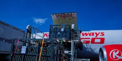 Kenya Airways flies first live cattle shipment to Nigeria