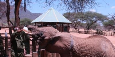 How Northern Kenya is building a circular economy through sustainable tourism
