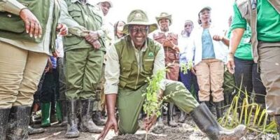 President Ruto expected in Trans Nzoia as government targets 17.24 million trees