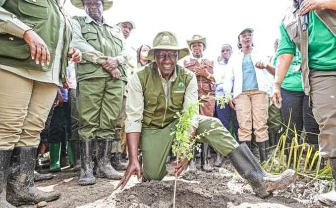 President Ruto expected in Trans Nzoia as government targets 17.24 million trees
