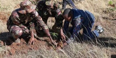BATUK, KDF lead planting of 200,000 trees in Laikipia during Mazingira Week