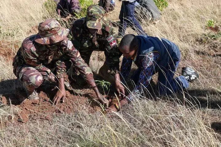BATUK, KDF lead planting of 200,000 trees in Laikipia during Mazingira Week