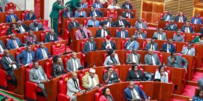 MPs back plan to create security jobs for NYS graduates