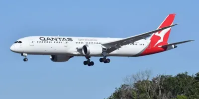 Qantas flight grounded after bedbug outbreak