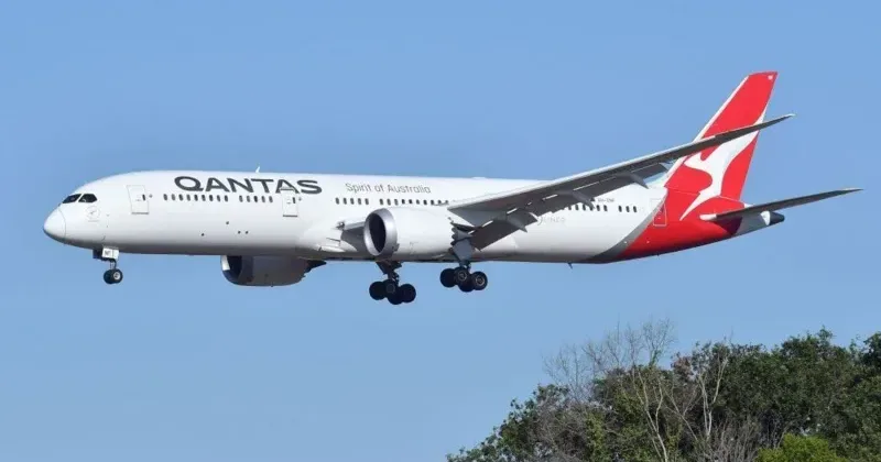 Qantas flight grounded after bedbug outbreak