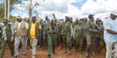 Ruto Announces Plan to Cut Cocoa Seedling Prices as Kenya Launches Cocoa Farming