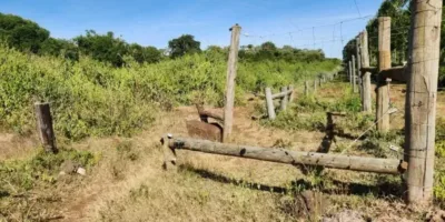 KFS seeks public views on proposed Londiani Forest airstrip