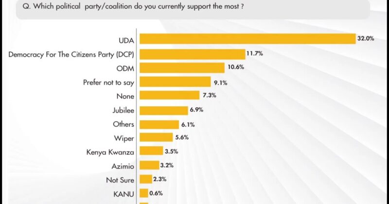 UDA leads party popularity at 32% in new Politrack survey