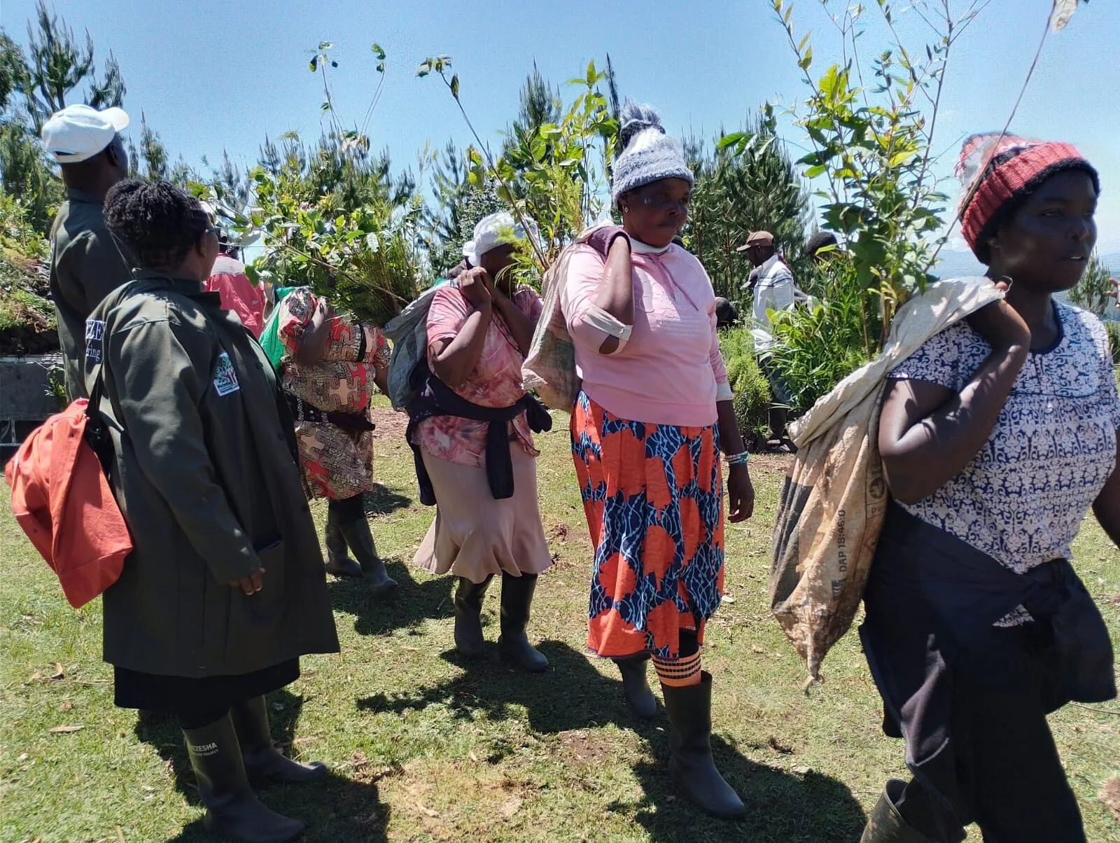 Mau Forest Restoration: Communities Join Global Organisation to Replant Native Trees