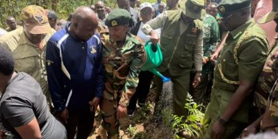 CS Ogamba Says Tree Planting Will Generate Carbon Credit Millions to Fund Education