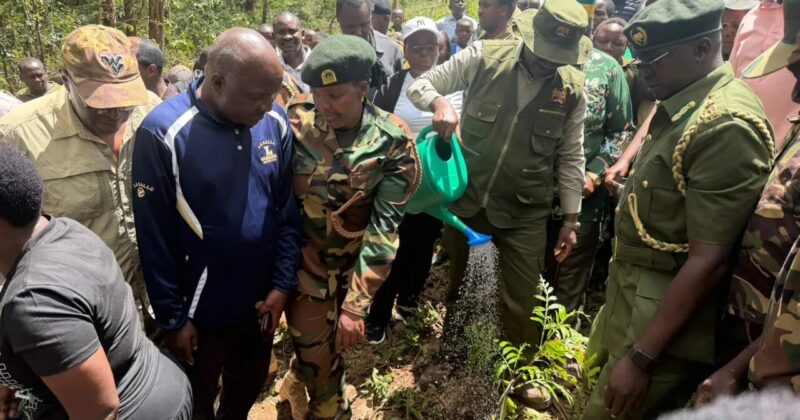 CS Ogamba Says Tree Planting Will Generate Carbon Credit Millions to Fund Education