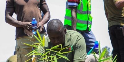 NG-CDF Invests Sh3bn in Climate Projects, Targets 500,000 Trees Annually