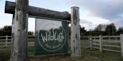 Man dies after tiger attack at wildlife park