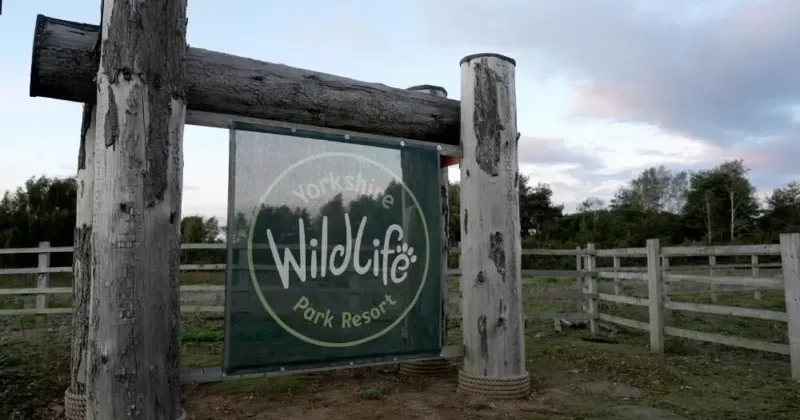 Man dies after tiger attack at wildlife park