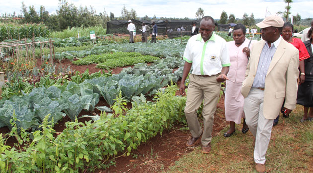 Kiambu trains farmers on greenhouse use