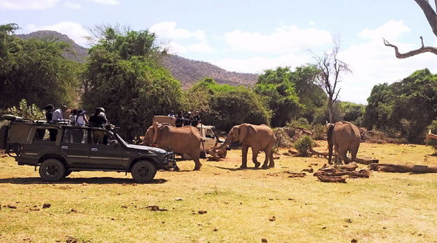 Google Street View goes to Samburu