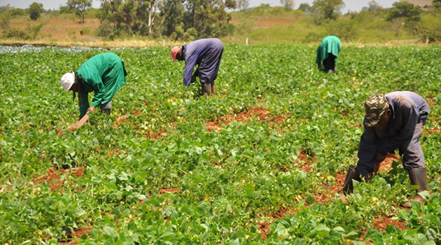BBK seeks agribusiness customers in new unit