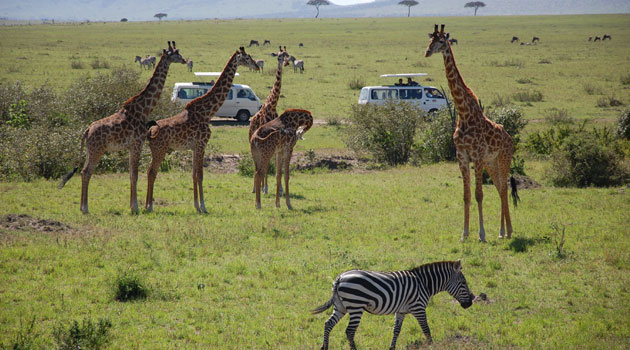 Hard times for tourism sector, but hope glimmers