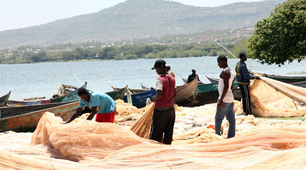 Kisumu governor Ranguma calls for ban on China fish imports