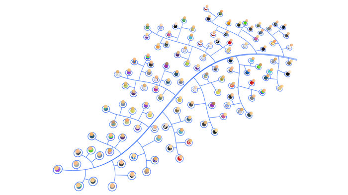 TED Radio Hour: Networks