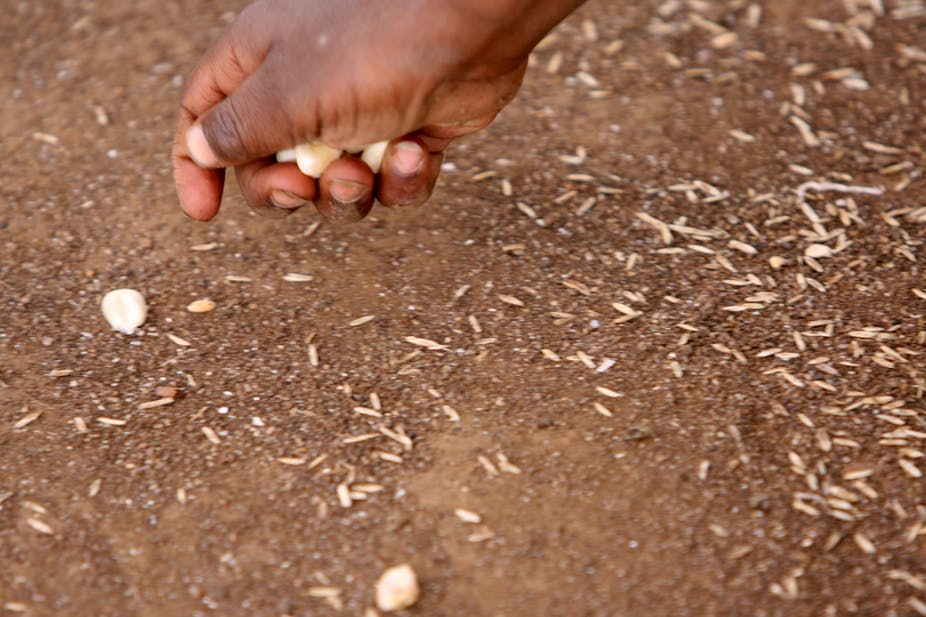 Key challenges for Kenya in big push to reduce post-harvest losses