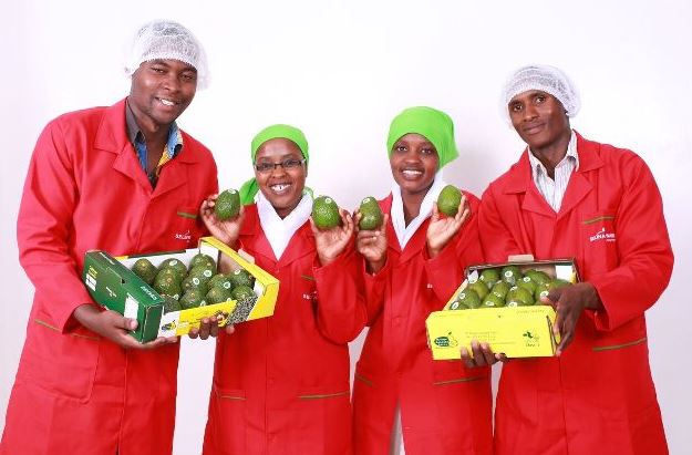 Kenya mobile platform, Selina Wamucii, to received Sh10m grant to reach more farmers