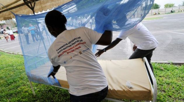 Kinangop Dairy links mosquito-borne diseases to health, agricultural risks on World Malaria Day