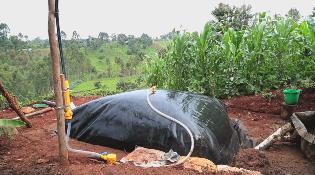 Tanzania moves to bolster use of clean energy for cooking to save forests from degradation