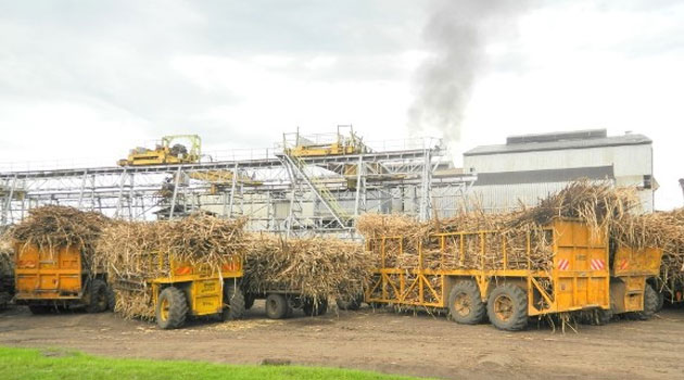 Workers in state-owned sugar mills demand Sh1.2bn in salary arrears