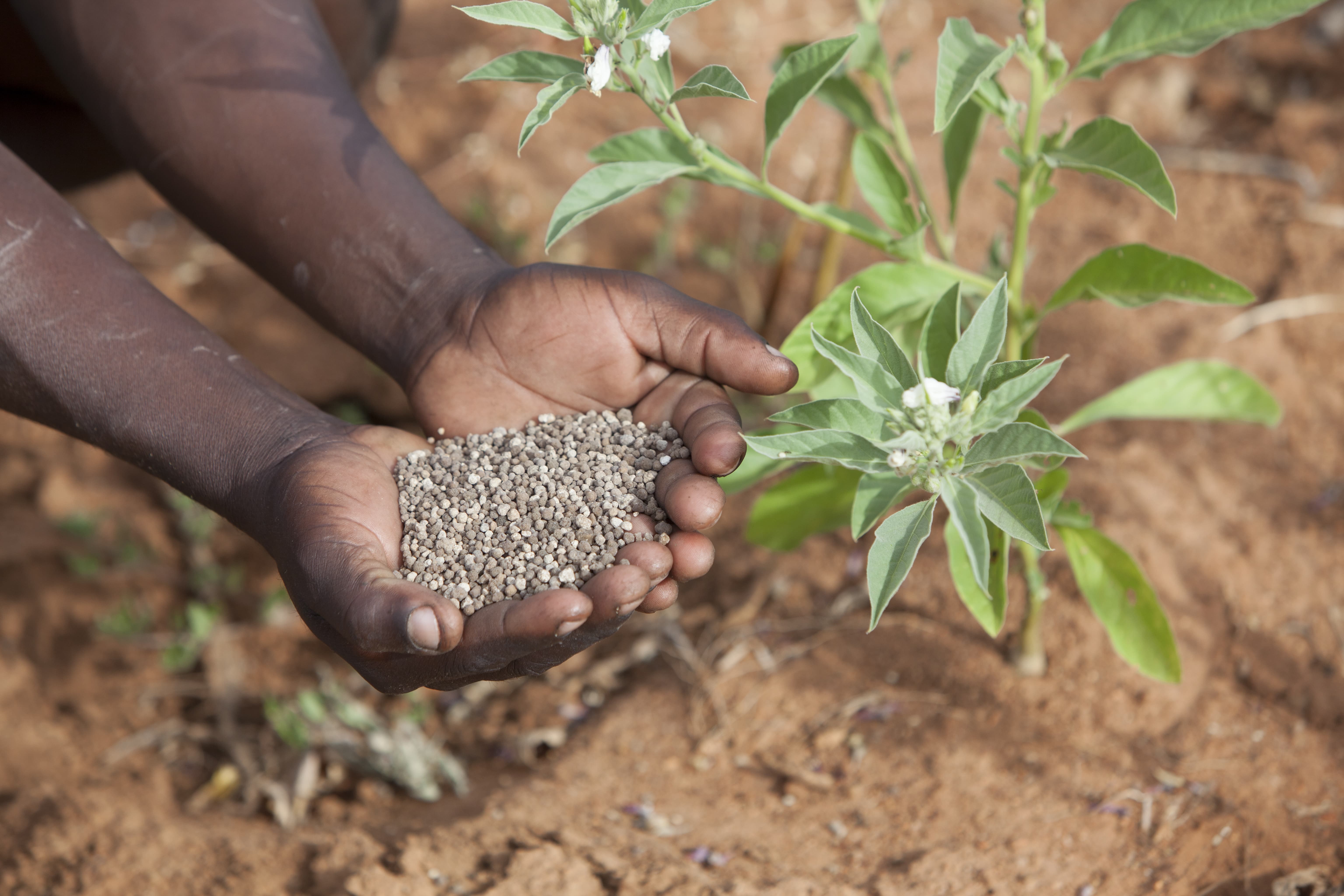 Agricultural trader ETG receives Sh12.8 billion boost from UBA Bank