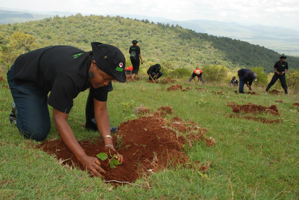 Safaricom commits to plant 5 million trees in 5 years