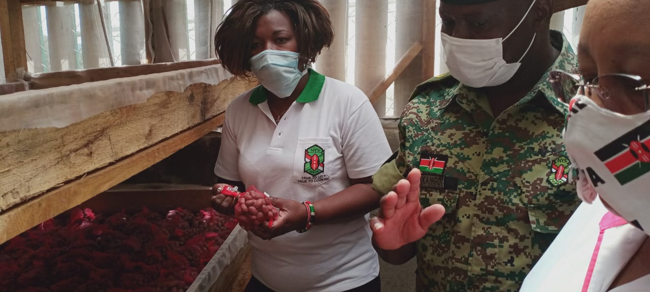 More funds needed to spur production of Disease free potato seeds – CAS Shebesh