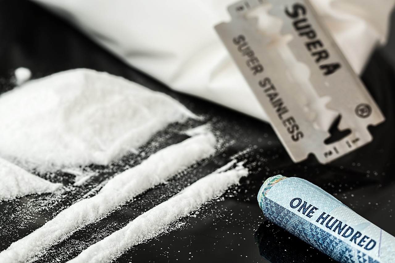 Malaysian authorities seize 370 kg of drugs