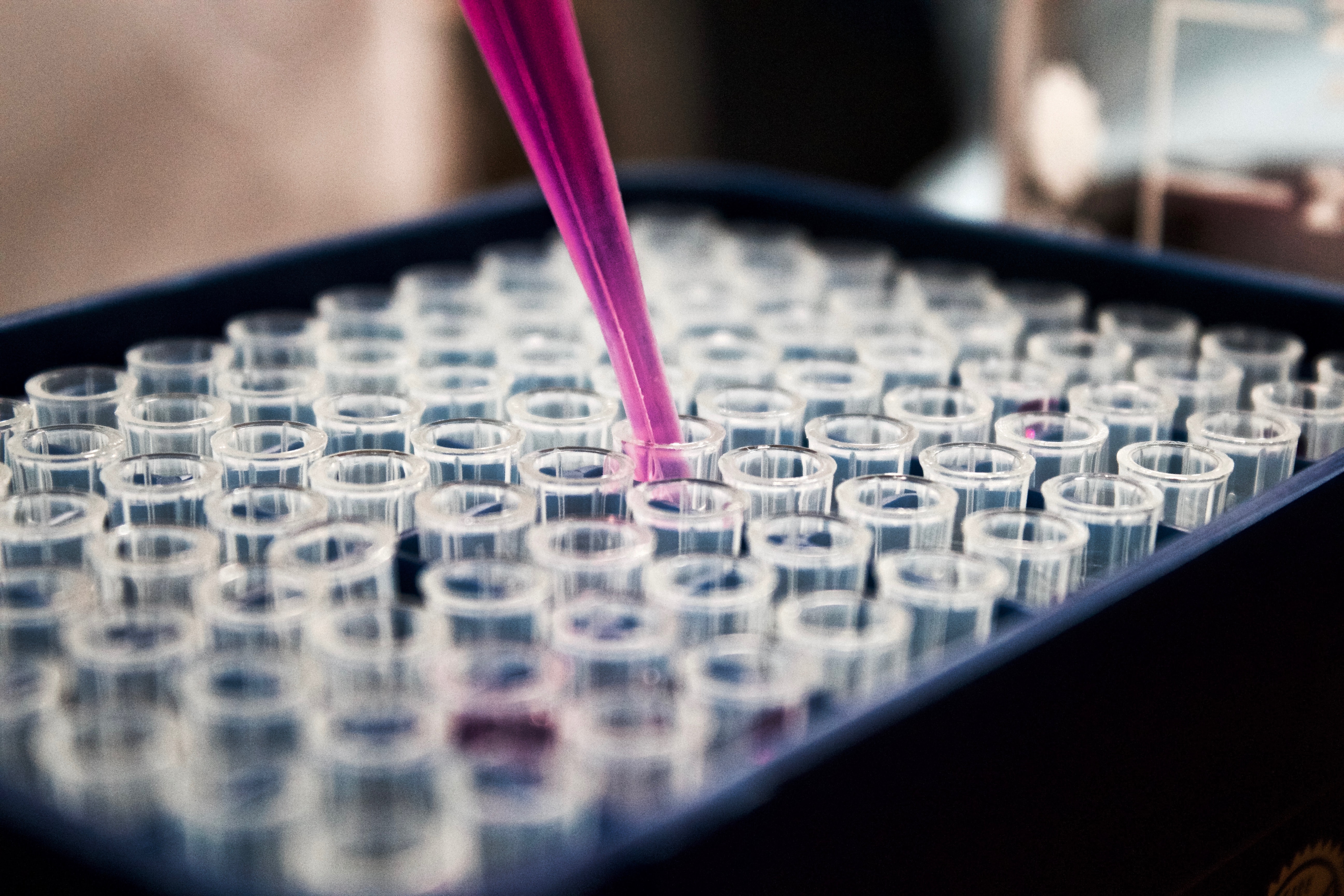 Sh396.4mn Fund to Support scientific research into genetic diversity in Africa launched