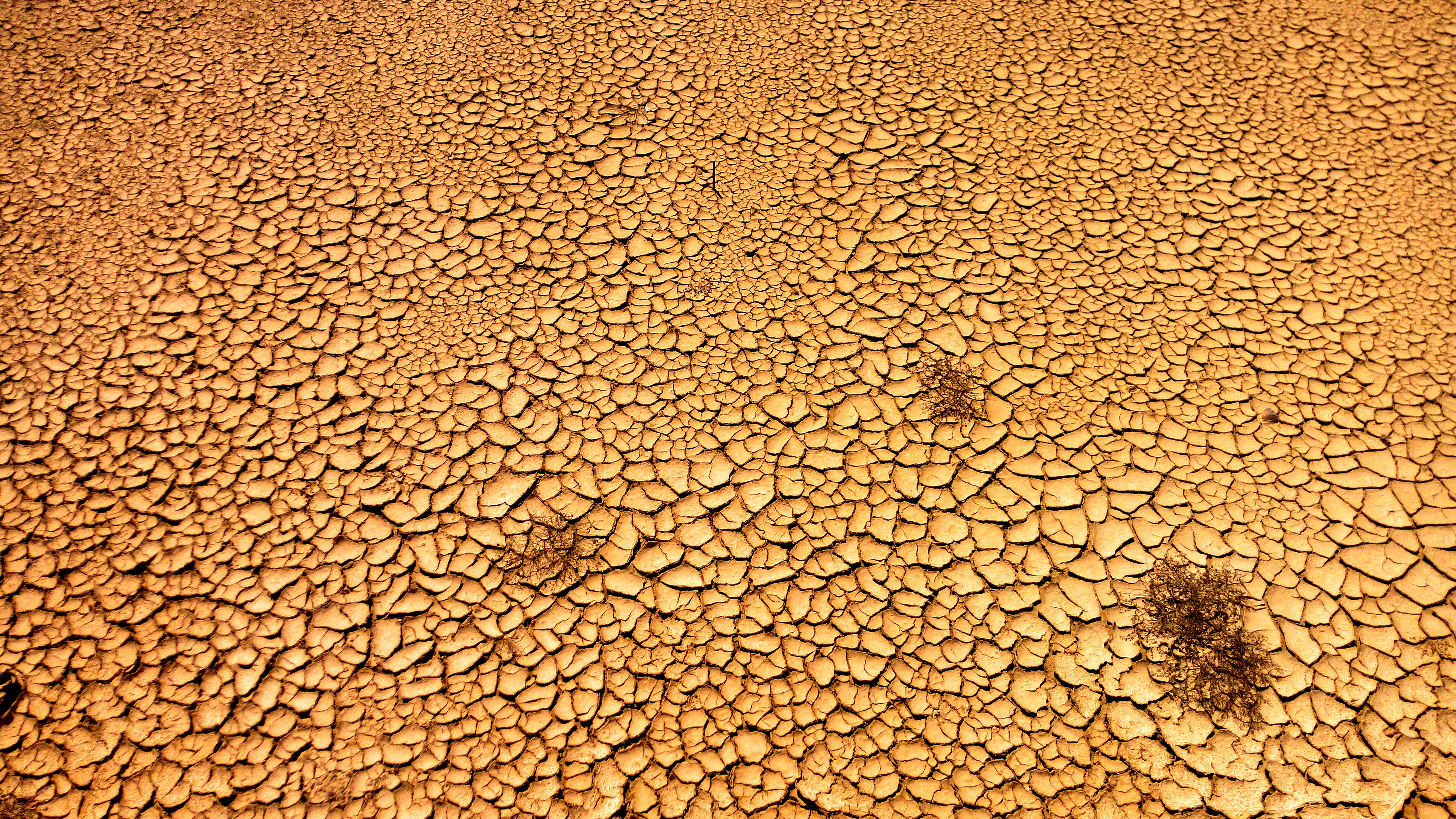 World Bank plans to invest over Sh548bn in Drylands in Africa