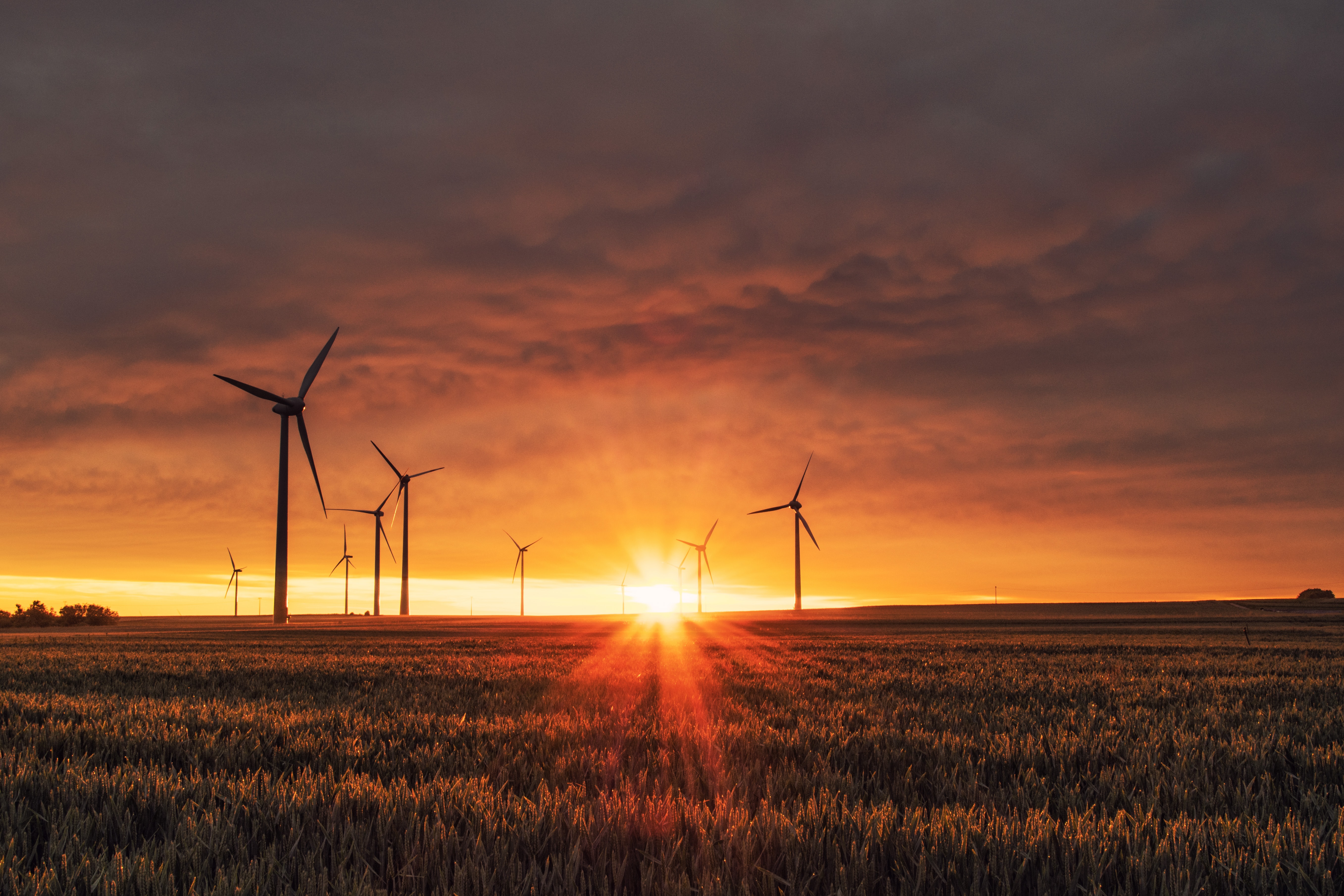 Sh131.8mn Fund seeking to support entrepreneurs using renewable energy in Kenya unveiled
