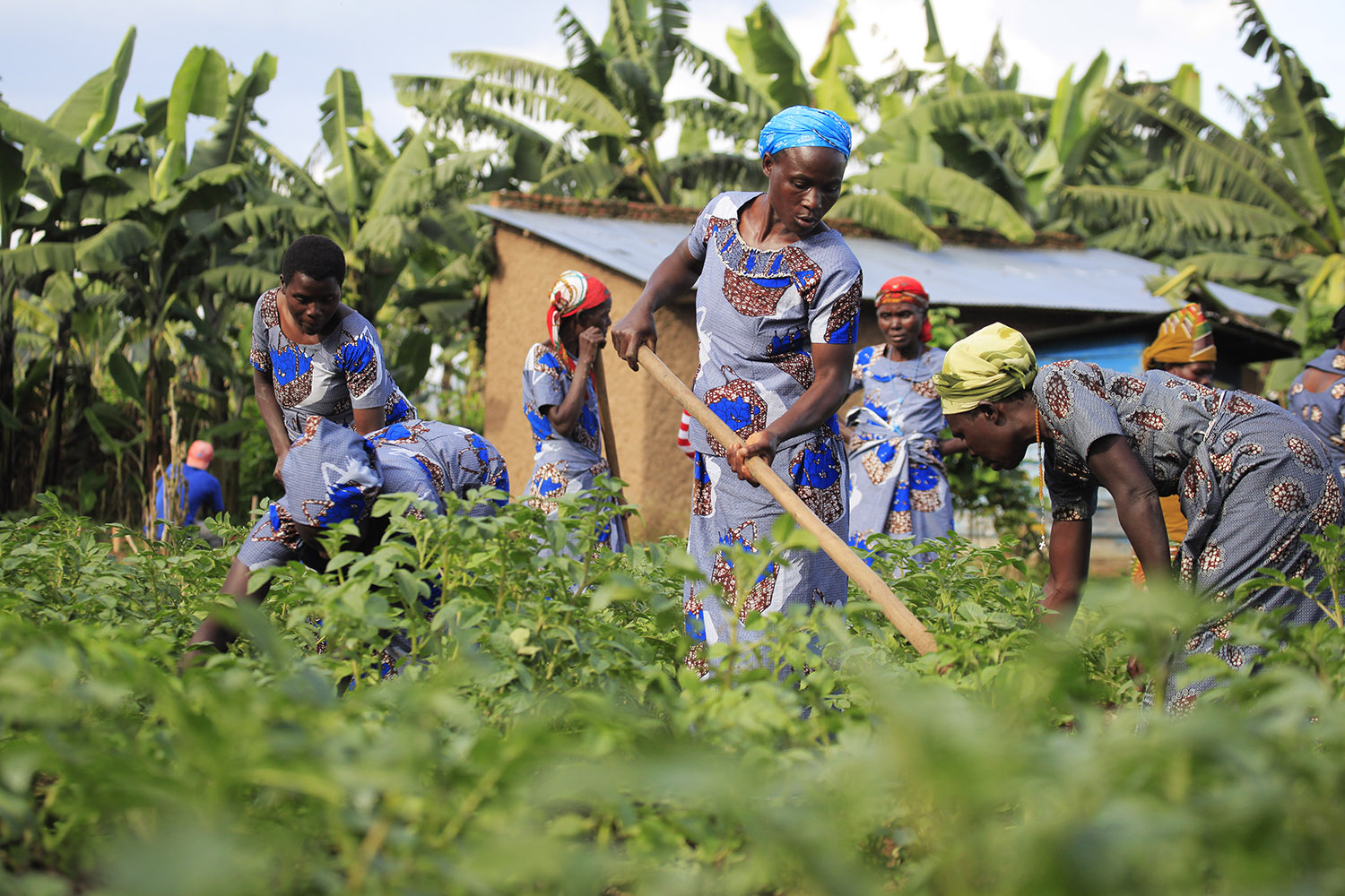 Governments commit to prioritize food systems amid pandemic
