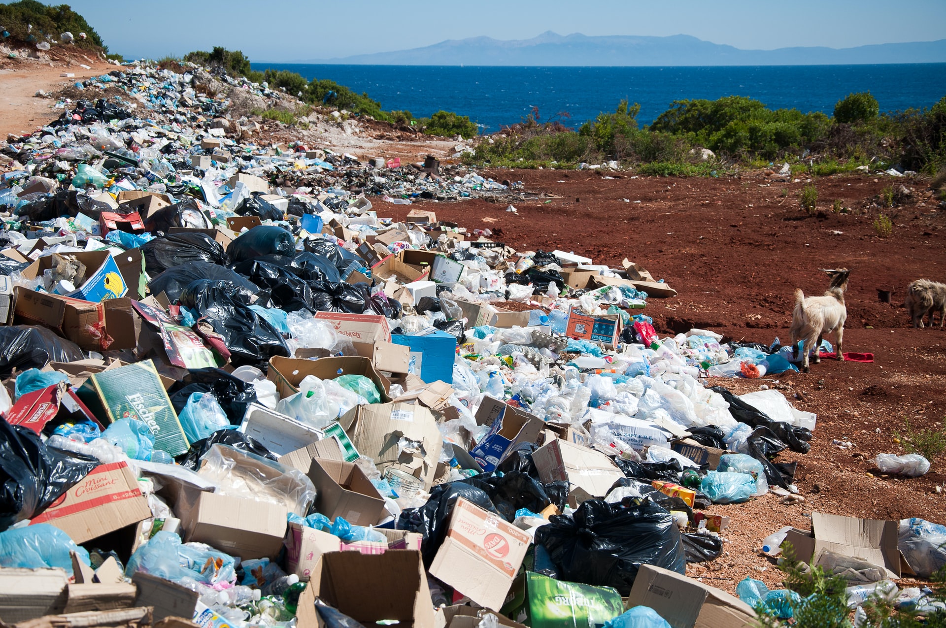 Circular economy introduced to save Nairobi’s diminishing environment