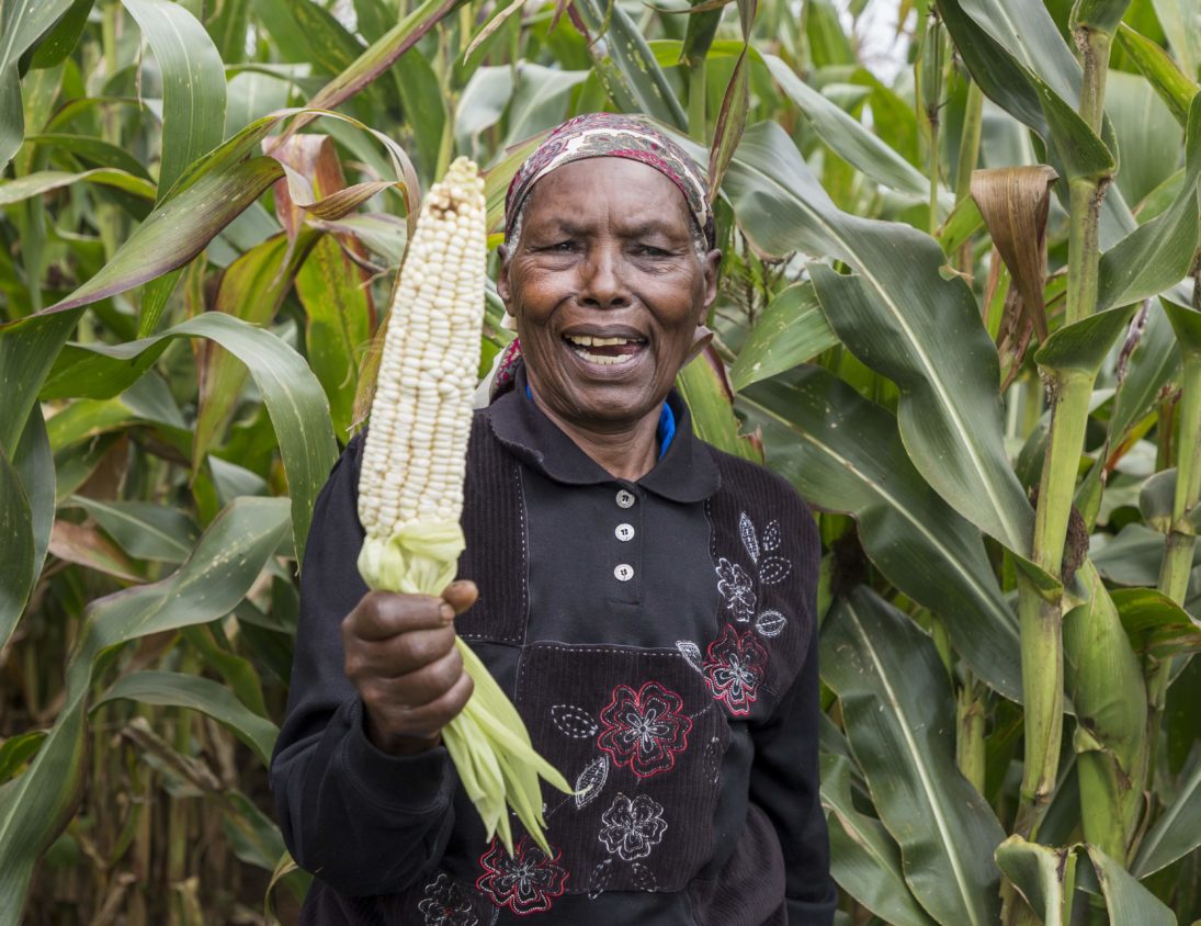 State bets on irrigation investment to boost food security