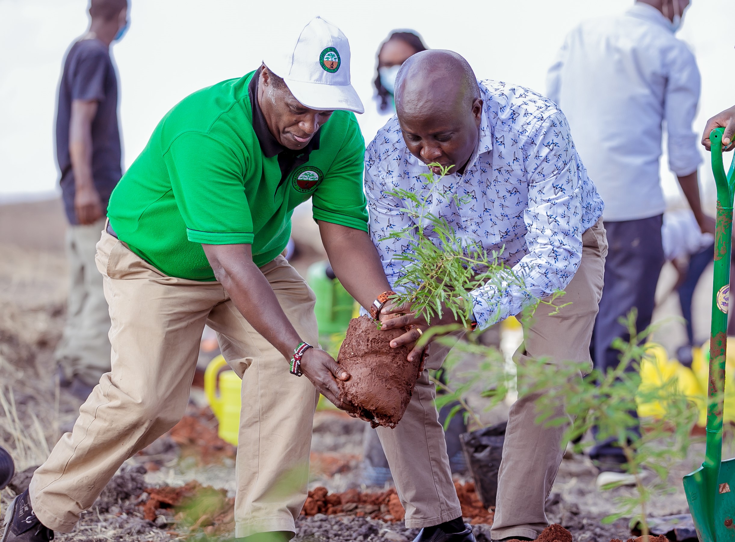Konza unveils drive to plant 20,000 trees in two months
