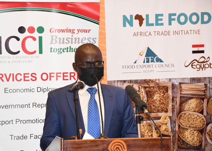 Kenya-Egypt trade expo launched targeting food commodities