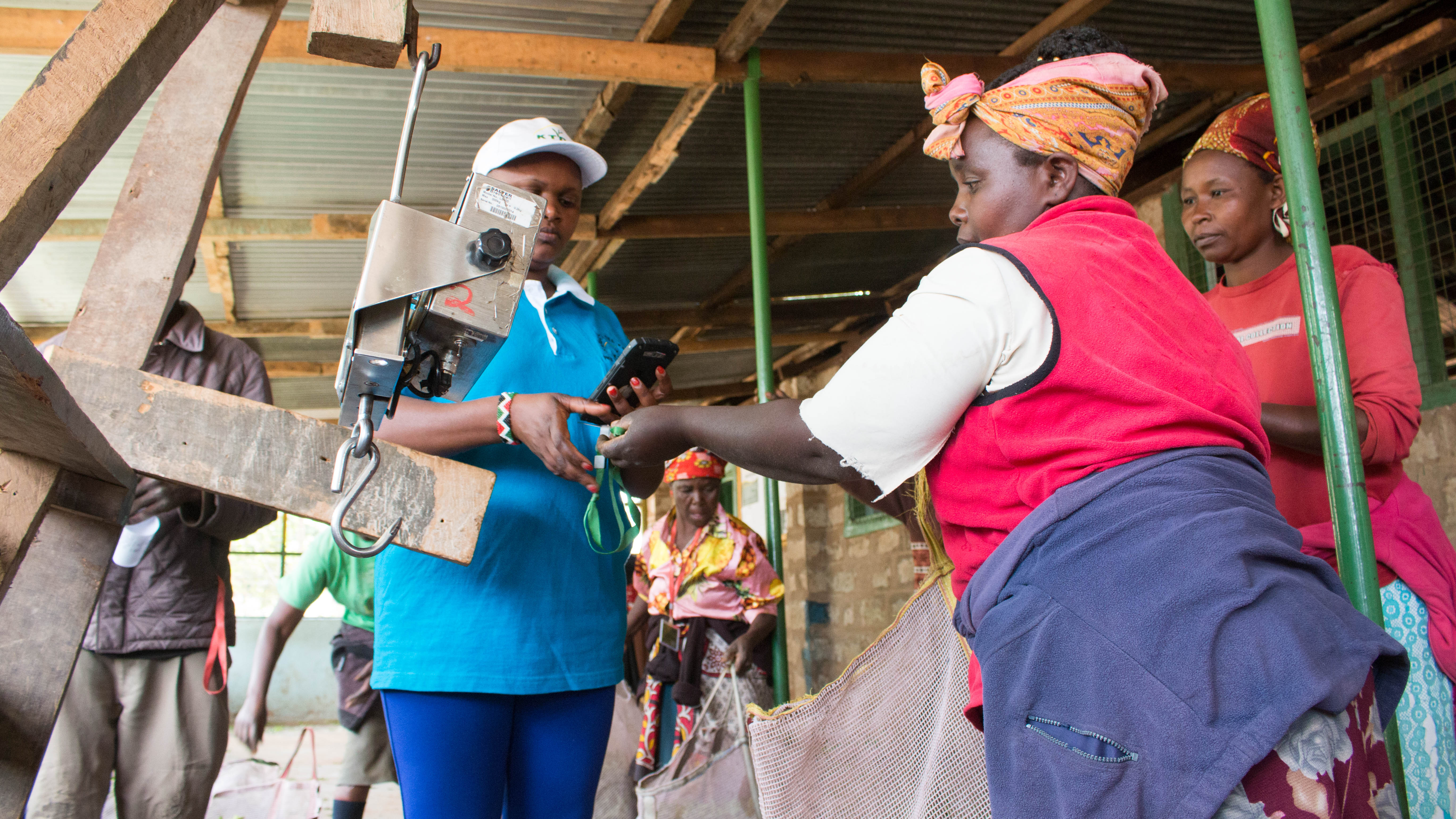 Joy for tea farmers as Smart cards prove to be a game changer