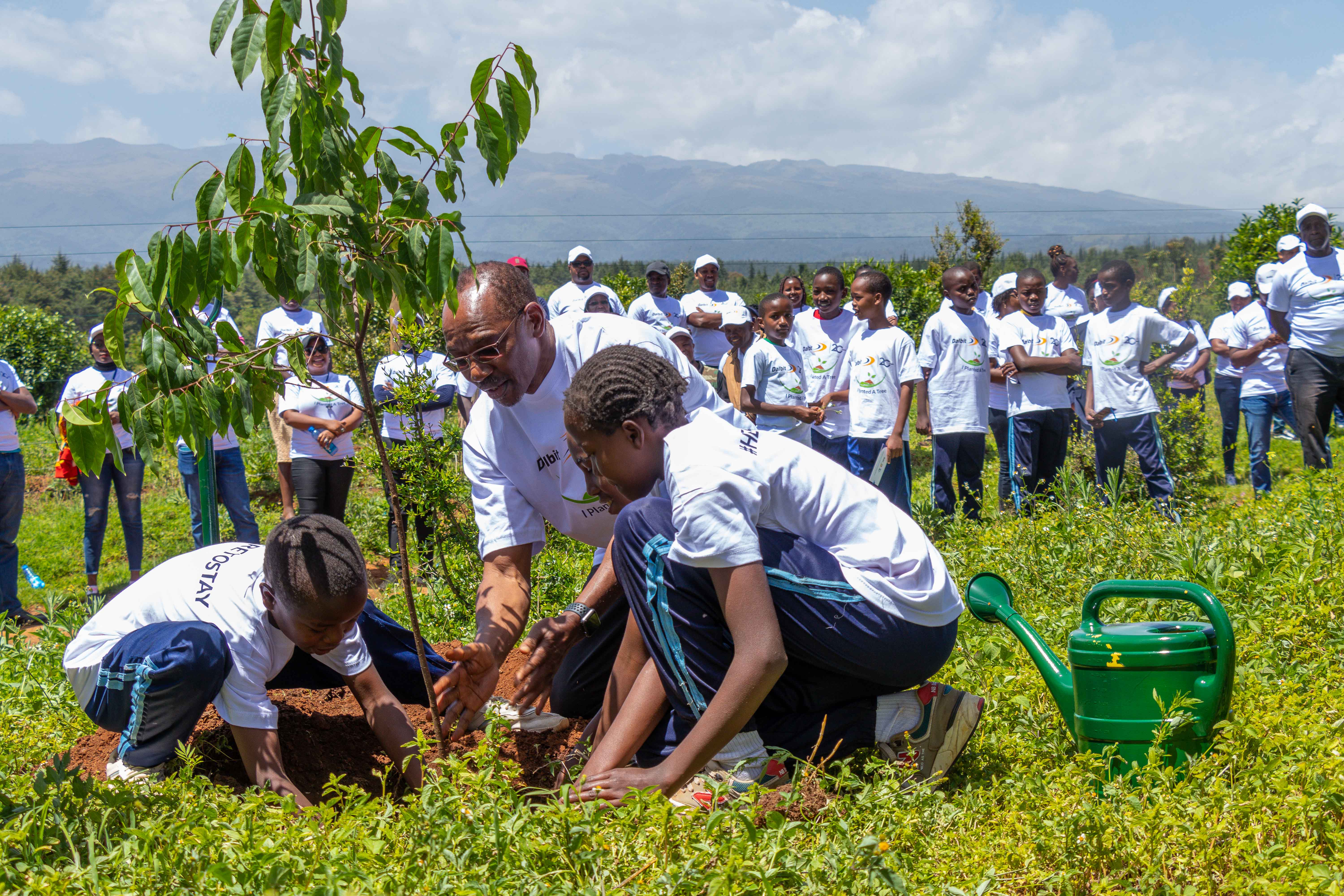 Dalbit marks twenty years of fuelling growth with tree planting drive
