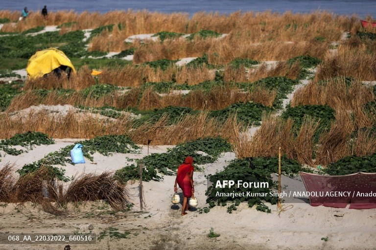 India tightens flour exports after global wheat shortage