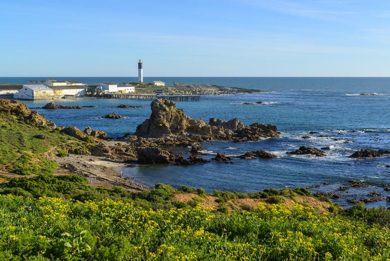 Surfers, miners fight over South Africa’s white beaches