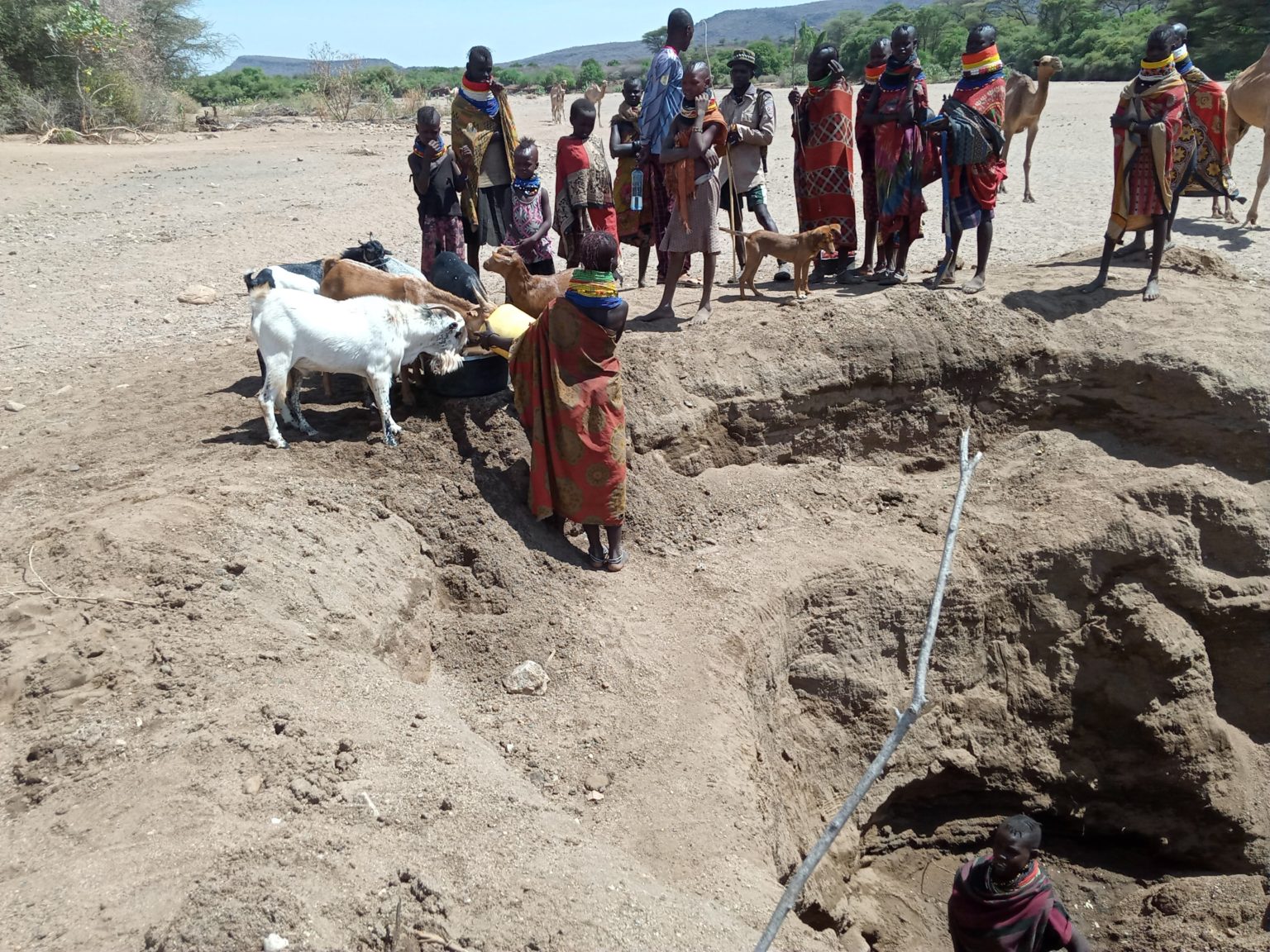 Turkana leads in Govt’s cash disbursement for needy, vulnerable households