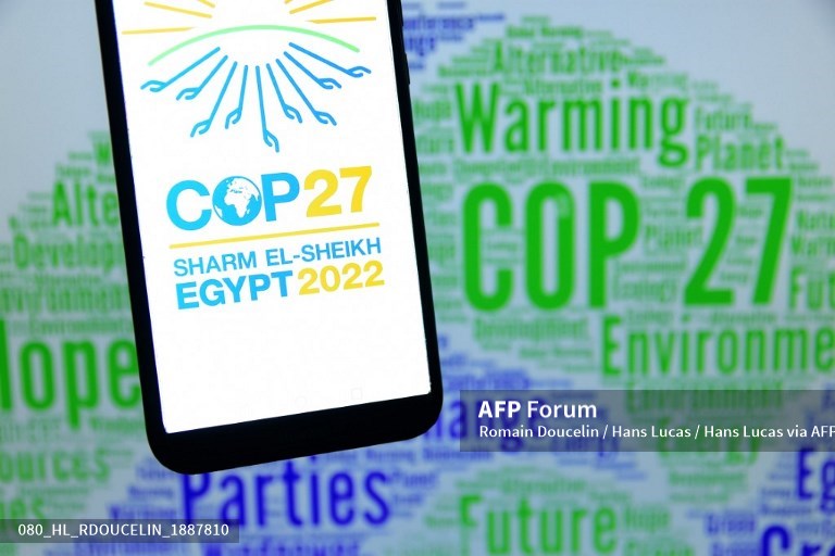 Fight climate change without slowing growth, says UAE’s COP28 chief