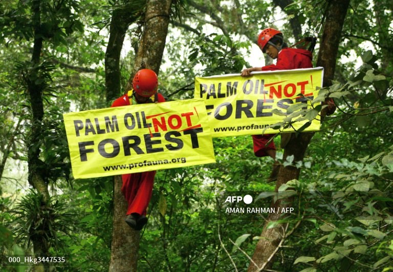 EU bans imports of products that drive deforestation