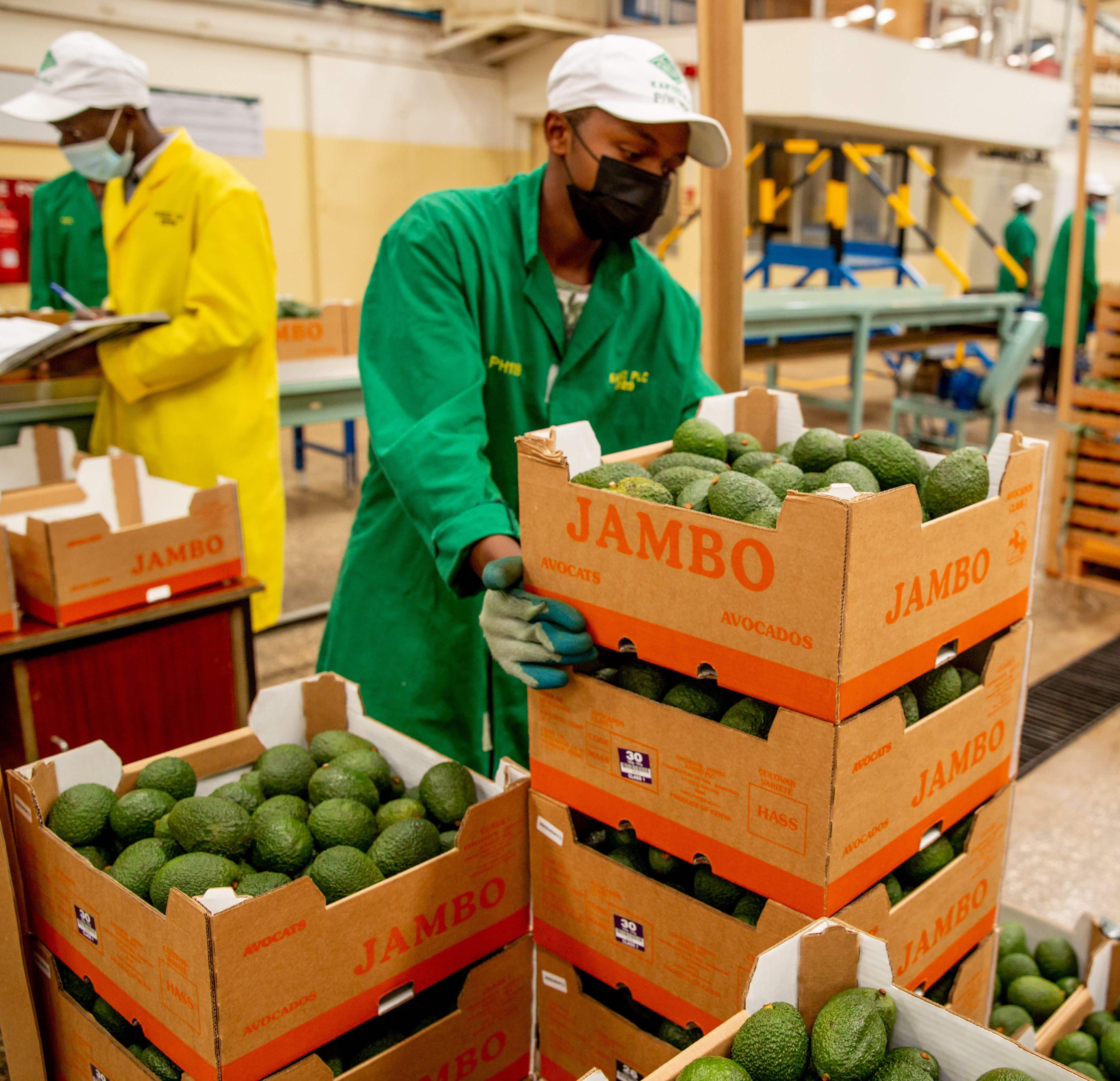 Early Christmas: Kakuzi rewards unionisable employees with a pay rise