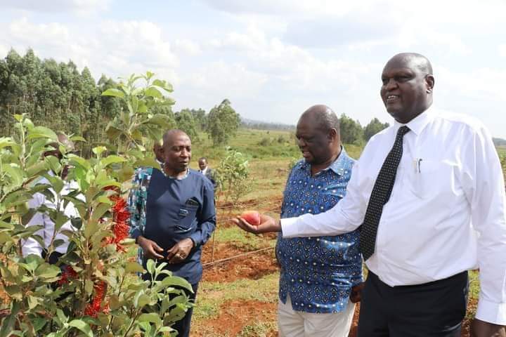 Moi University enters into apple farming to diversify income